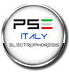 P.S.ELETTRONICA