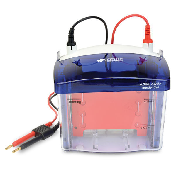 Benchtop Electrophoresis System Aqua Azure Biosystems Vertical