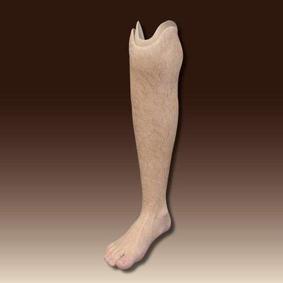 Leg Cosmetic Prosthesis Schubert Braun Prothesenwerk Adult