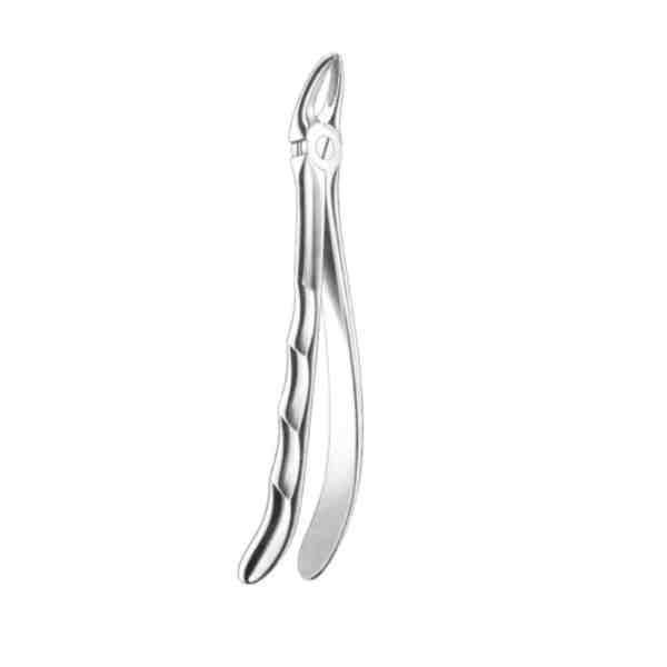 Canine Teeth Dental Extraction Forceps Lorien Industries