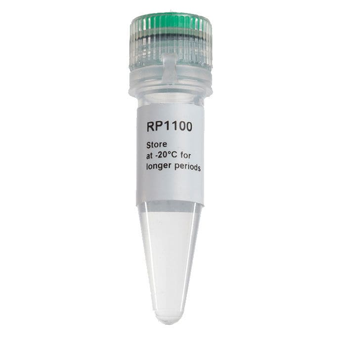 Enzyme Reagent Excelrt Smobio Technology Inc For Pcr For Rt Pcr