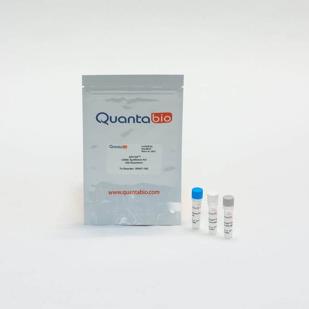 Solution Reagent Kit Qscript Quantabio Reverse Transcriptase