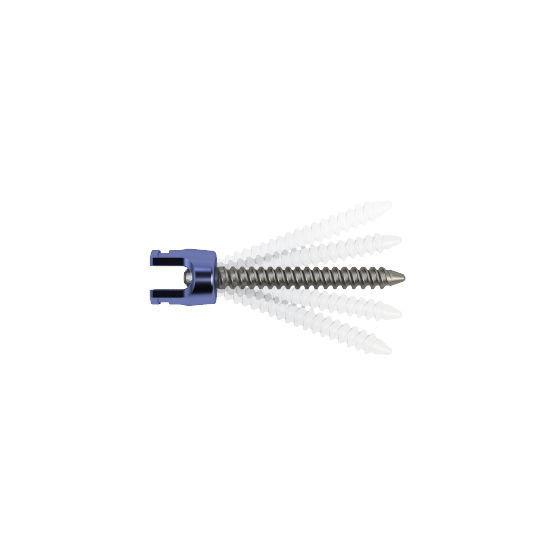 Polyaxial Pedicle Screw Series Zimed Medical Metallic