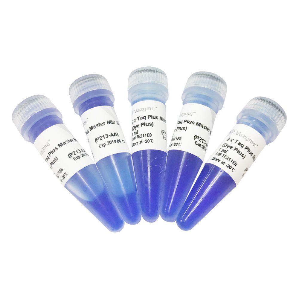 Taq DNA Polymerase Reagent P213 Series Vazyme Medical Co Ltd For PCR