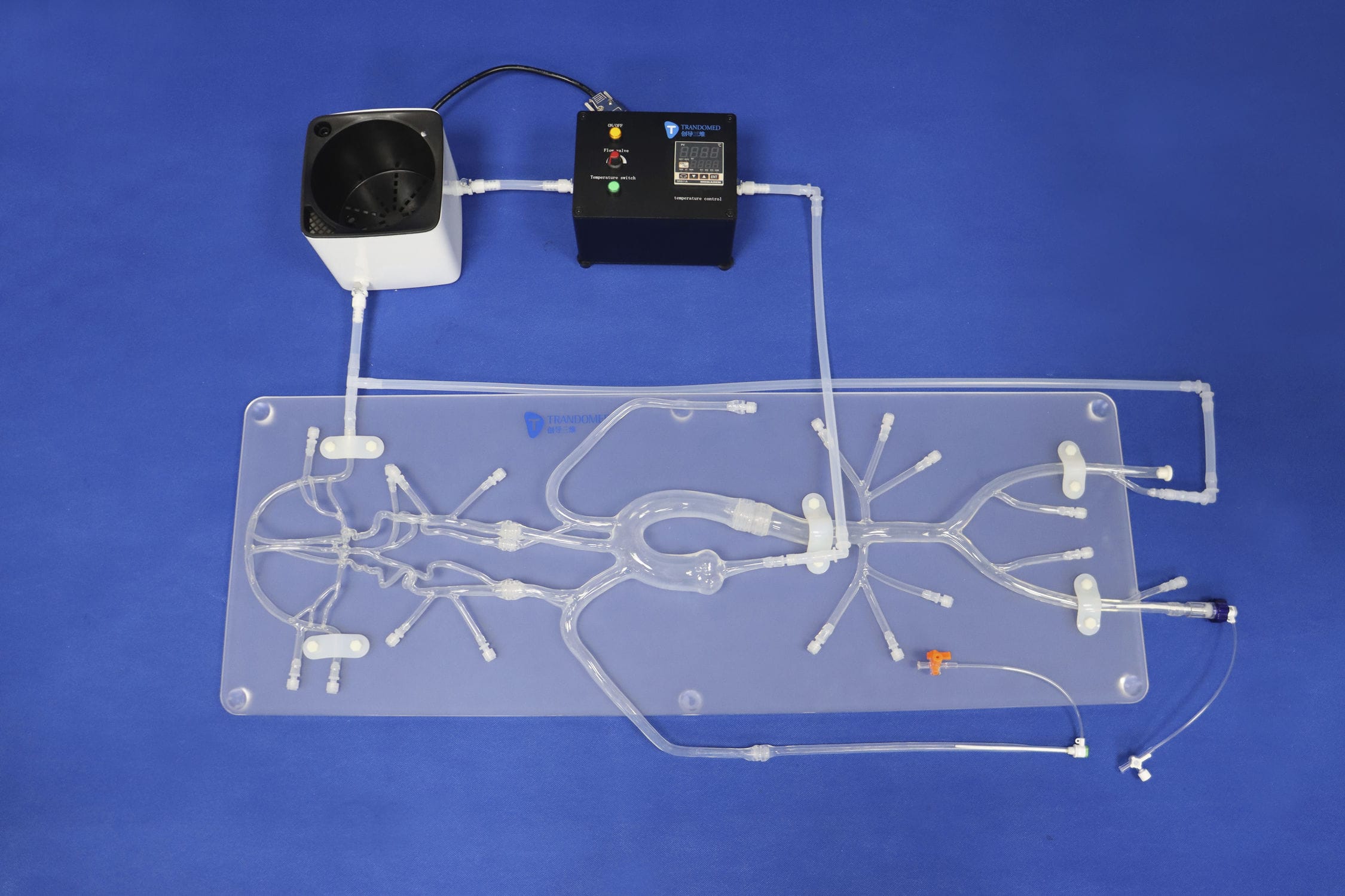 Neurology Vascular Model Sj D Trando D Medical Technology