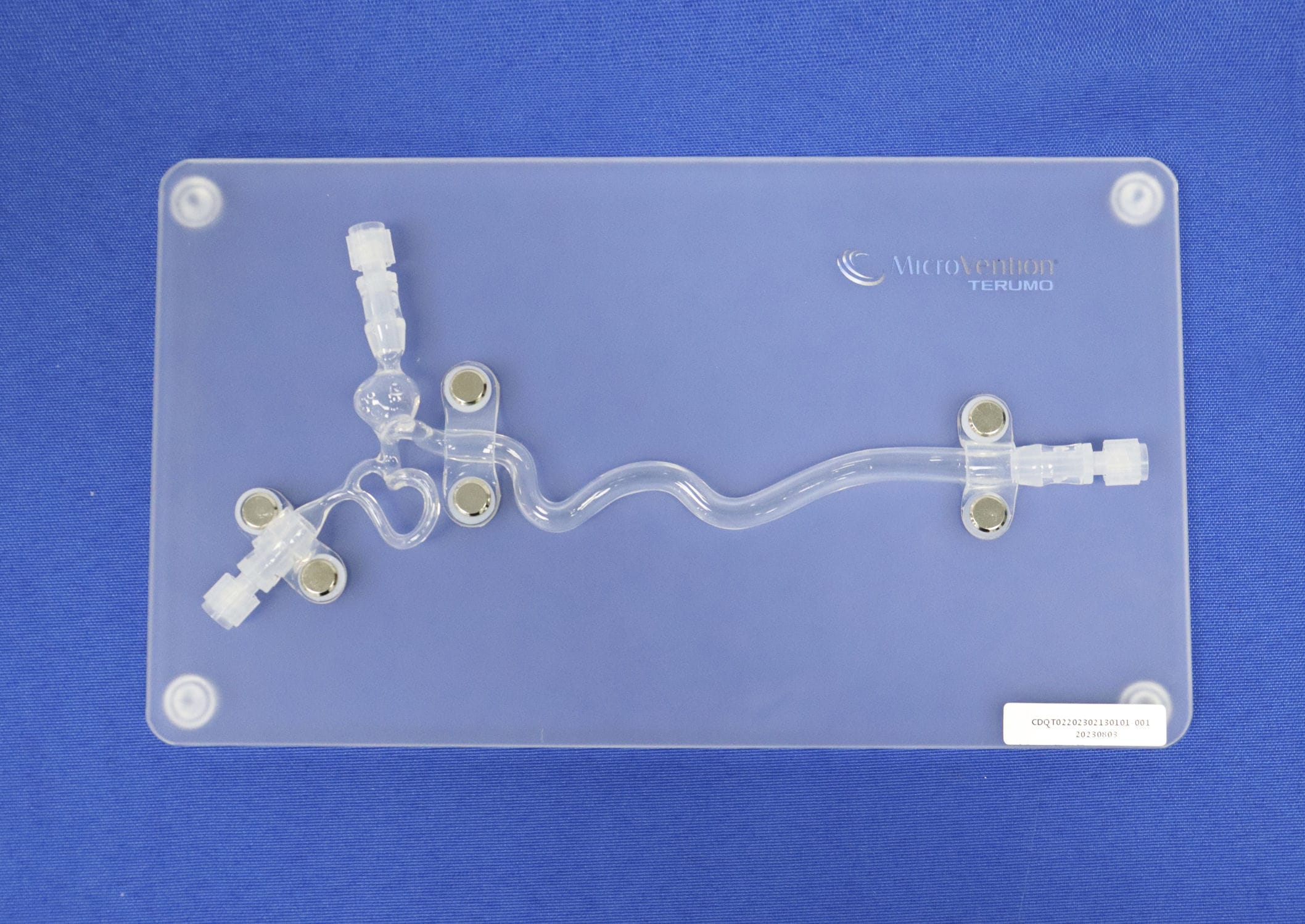 Artery Vascular Model SJX014 Trando 3D Medical Technology Carotid