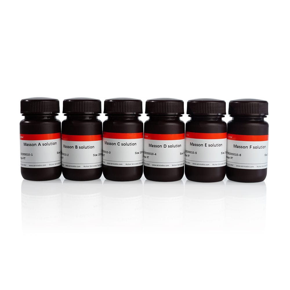 Staining Solution Reagent Kit G1006 20mL Servicebio Pathology