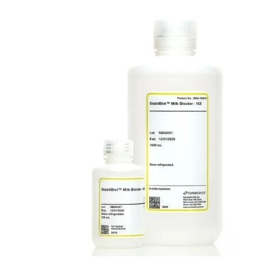 Solution Reagent StabilBlot Surmodics IVD Inc For Western Blot