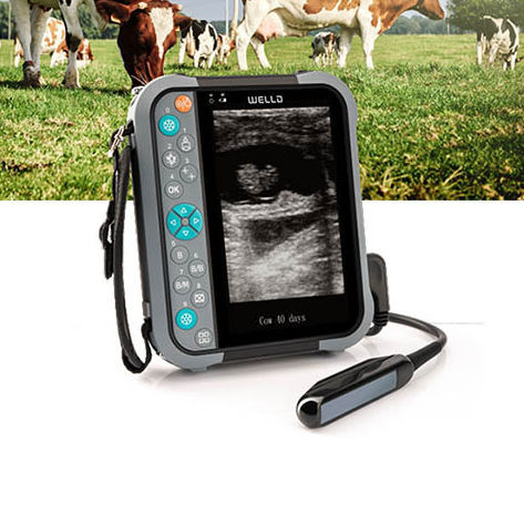 Portable Veterinary Ultrasound System M5V Shenzhen Well D Medical