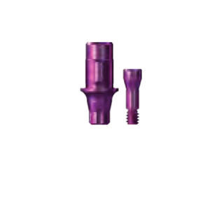 Titanium Implant Abutment COPAUTB2 Bredent Medical Internal