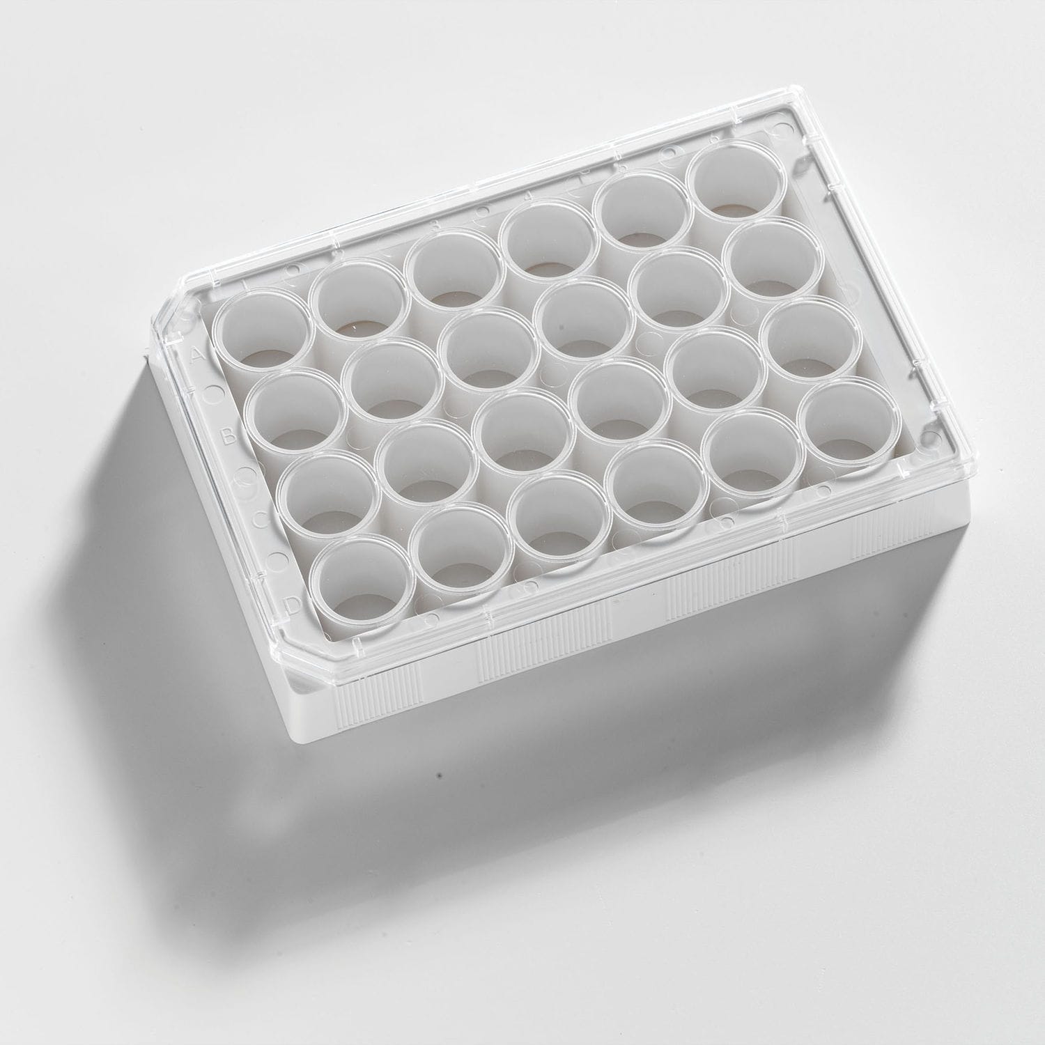 Microplate For Life Sciences Applications Porvair Sciences