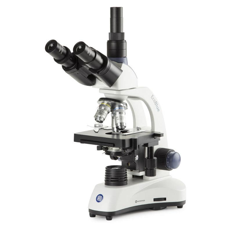 Polarization Microscope EcoBlue Euromex Optical Laboratory