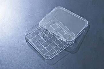 petri dish grid