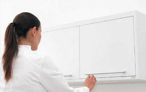 storage cabinet / for dental instruments / with swing doors / wall-mounted