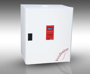 forced convection laboratory incubator / bacteriological / bench-top / stainless steel