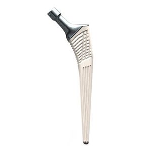 cementless femoral stem