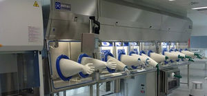 ISO class 5 isolator / aseptic / for cellular therapy / floor-standing
