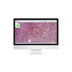 image analysis software / management / visualization / sharing