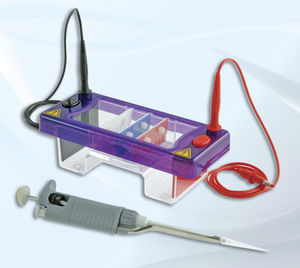 compact electrophoresis system / horizontal / bench-top