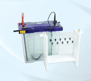 capillary electrophoresis system / bench-top