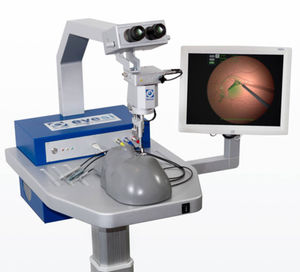 vitreous-retina surgery simulator / workstation