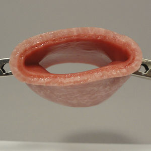 suture model / vaginal / gynecological care / training