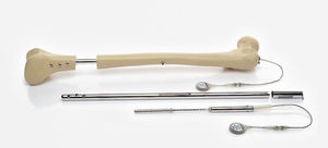 femur intramedullary nail / tibia / proximal / distal
