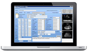 patient data management software / reporting / tracking / gynecology
