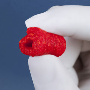 xenograft bone substitute / orthopedic surgery / malleable