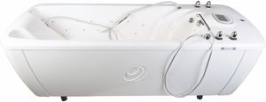 hydromassage bathtub
