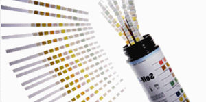 multiparametric test strip / urine