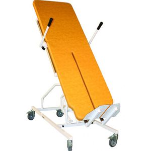 1 section tilt table / electric / on casters