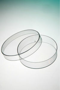 Petri dish