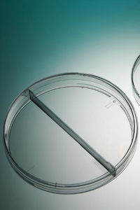 Petri dish