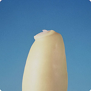 latex gynecological finger cot