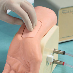 blood collection simulator / for arterial puncture / hand