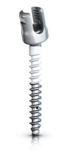 polyaxial pedicle screw