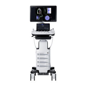 on-platform ultrasound system / for multipurpose ultrasound imaging / B/W / elastography