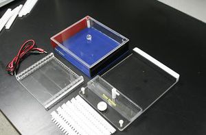 bench-top electrophoresis system