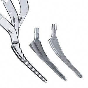 cemented or non-cemented femoral stem
