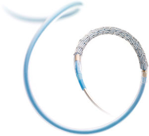 coronary stent / metal
