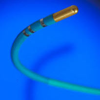 cryoablation catheter / cardiac