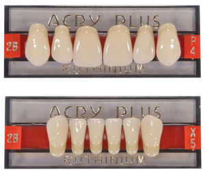 acrylic dental prosthesis / anterior teeth / posterior teeth / translucent