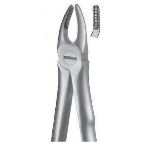 premolar extraction forceps