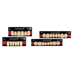 PMMA dental prosthesis / anterior teeth / posterior teeth