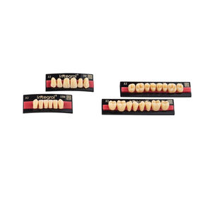PMMA dental prosthesis / posterior teeth / anterior teeth