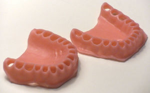 gingival model / for teaching