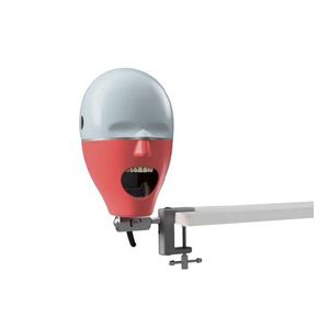 dental training manikin / head