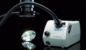 microscope light source / LED / cold