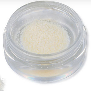 allograft bone substitute / dental sugery / powder